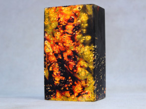 Stabilized Maple Burl Wood Mod Block